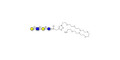 Lacto-N-tetraose (LNT) with free terminal amine (Linker-NH2 C) - LNT