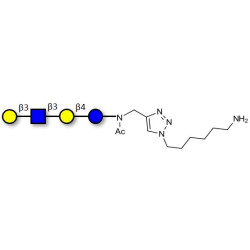Lacto-N-tetraose (LNT) with free terminal amine (Linker-NH2 D)