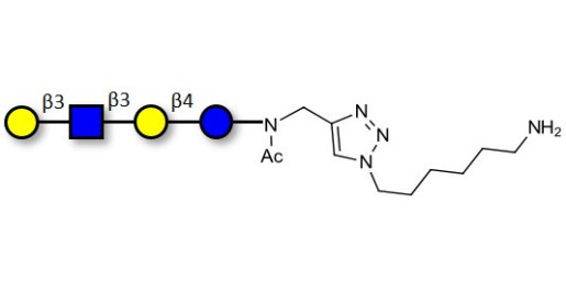 Lacto-N-tetraose (LNT) with free terminal amine (Linker-NH2 D) - LNT