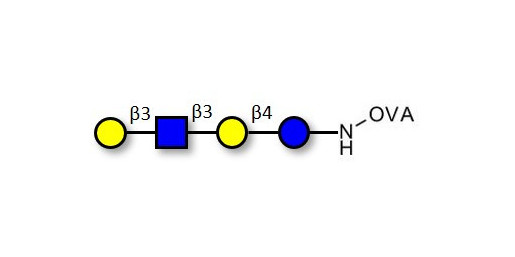 Lacto-N-tetraose (LNT) grafted on OVA - LNT