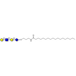 Lacto-N-tetraose (LNT) with stearic chain (Linker-STEA A)