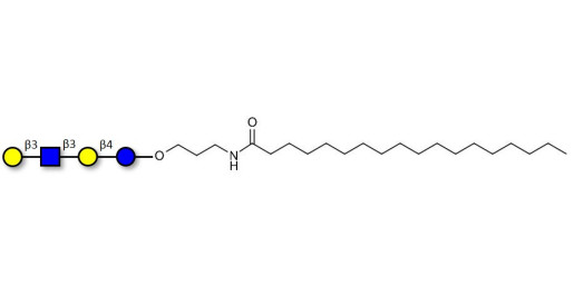 Lacto-N-tetraose (LNT) with stearic chain (Linker-STEA A) - LNT