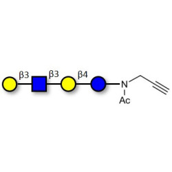 Lacto-N-tetraose (LNT) with terminal alkyne (Linker-CΞCH A)