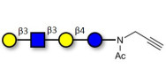 Lacto-N-tetraose (LNT) with...