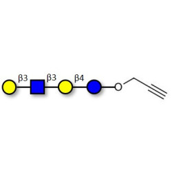 Lacto-N-tetraose (LNT) with terminal alkyne (Linker-CΞCH B)