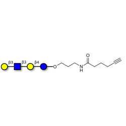 Lacto-N-tetraose (LNT) with terminal alkyne (Linker-CΞCH C)