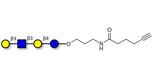 Lacto-N-tetraose (LNT) with terminal alkyne (Linker-CΞCH C) - LNT