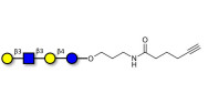 Lacto-N-tetraose (LNT) with...