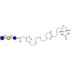 Lacto-N-Triose (LNT2) linked to biotin (Linker-BT A)