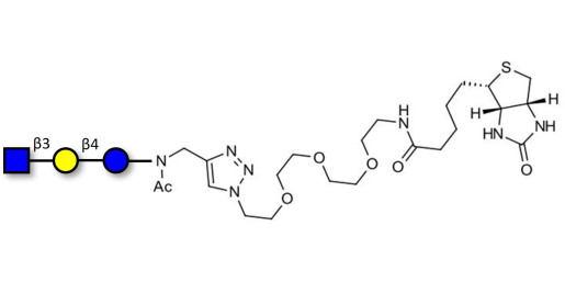 Lacto-N-Triose (LNT2) linked to biotin (Linker-BT A) - LNT2; LNTII