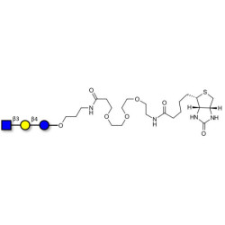 Lacto-N-Triose (LNT2) linked to biotin (Linker-BT C)