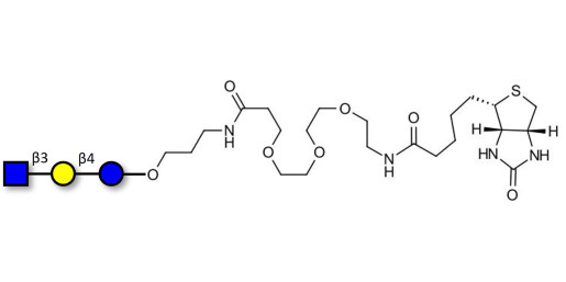 Lacto-N-Triose (LNT2) linked to biotin (Linker-BT C) - LNT2; LNTII