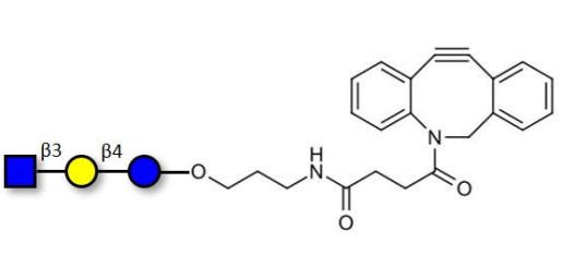Lacto-N-Triose (LNT2) with DBCO (Linker-DBCO A) - LNT2; LNTII