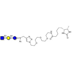 Lacto-N-Triose (LNT2) linked to desthiobiotin (Linker-DBT-A)