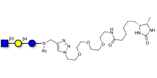 Lacto-N-Triose (LNT2) linked to desthiobiotin (Linker-DBT-A) - LNT2; LNTII