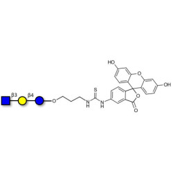 Lacto-N-Triose (LNT2) linked to fluorescein (Linker-FLUO A)