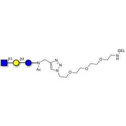 Lacto-N-Triose (LNT2) grafted on gel for affinity chromatography (Linker-GEL A)