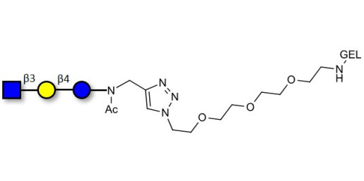 Lacto-N-Triose (LNT2) grafted on gel for affinity chromatography (Linker-GEL A) - LNT2; LNTII