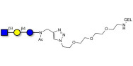 Lacto-N-Triose (LNT2)...