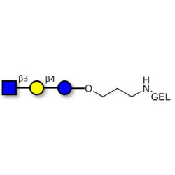 Lacto-N-Triose (LNT2) grafted on gel for affinity chromatography (Linker-GEL B)