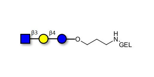 Lacto-N-Triose (LNT2) grafted on gel for affinity chromatography (Linker-GEL B) - LNT2; LNTII