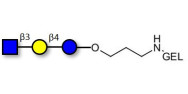 Lacto-N-Triose (LNT2)...