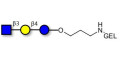 Lacto-N-Triose (LNT2) grafted on gel for affinity chromatography (Linker-GEL B) - LNT2; LNTII