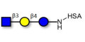 Lacto-N-Triose (LNT2) grafted on HSA - LNT2; LNTII