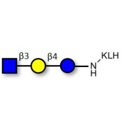 Lacto-N-Triose (LNT2) grafted on KLH
