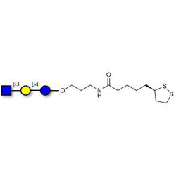 Lacto-N-Triose (LNT2) with cyclic di-thiol (Linker-LIPO A)