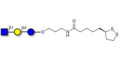 Lacto-N-Triose (LNT2) with cyclic di-thiol (Linker-LIPO A) - LNT2; LNTII