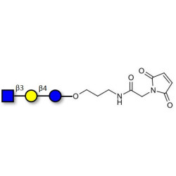 Lacto-N-Triose (LNT2) linked to maleimide (Linker-MAL A)