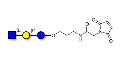 Lacto-N-Triose (LNT2) linked to maleimide (Linker-MAL A) - LNT2; LNTII