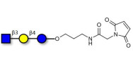 Lacto-N-Triose (LNT2)...
