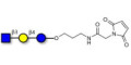 Lacto-N-Triose (LNT2) linked to maleimide (Linker-MAL A) - LNT2; LNTII