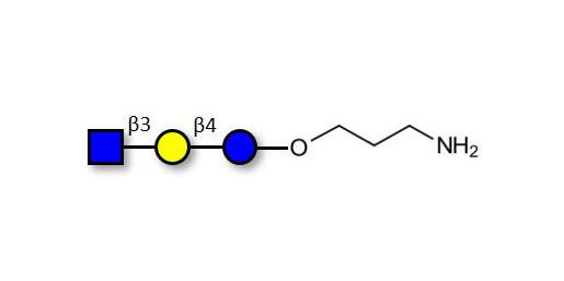 Lacto-N-Triose (LNT2) with free terminal amine (Linker-NH2 A) - LNT2; LNTII