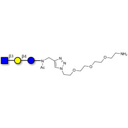 Lacto-N-Triose (LNT2) with free terminal amine (Linker-NH2 B)