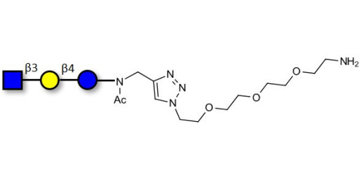 Lacto-N-Triose (LNT2) with free terminal amine (Linker-NH2 B) - LNT2; LNTII