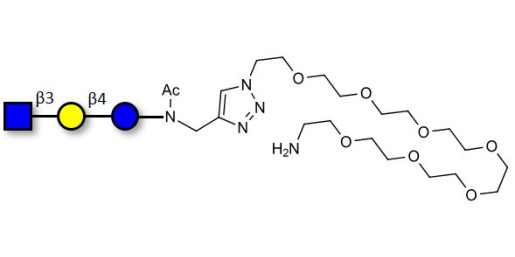 Lacto-N-Triose (LNT2) with free terminal amine (Linker-NH2 C) - LNT2; LNTII