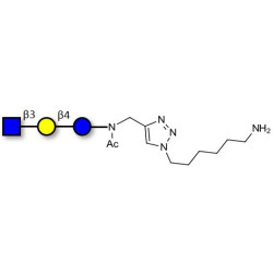 Lacto-N-Triose (LNT2) with free terminal amine (Linker-NH2 D)