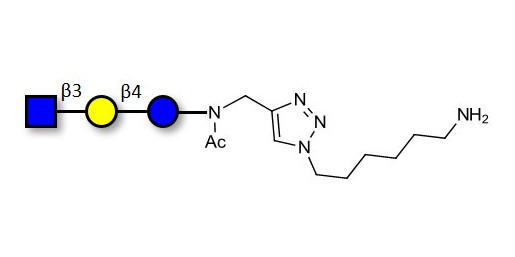 Lacto-N-Triose (LNT2) with free terminal amine (Linker-NH2 D) - LNT2; LNTII
