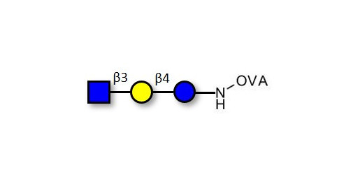Lacto-N-Triose (LNT2) grafted on OVA - LNT2; LNTII