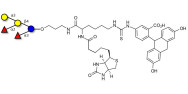 Chitosan polysaccharide