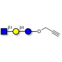 Lacto-N-Triose (LNT2) with terminal alkyne (Linker-CΞCH B)