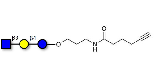 Lacto-N-Triose (LNT2) with terminal alkyne (Linker-CΞCH C) - LNT2; LNTII