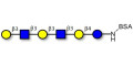 Para-Lacto-N-hexaose 2 (Para-LNH2) grafted on BSA
