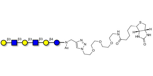 Para-Lacto-N-hexaose 2 (Para-LNH2) linked to biotin (Linker-BT A)