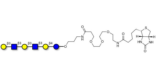 Para-Lacto-N-hexaose 2 (Para-LNH2) linked to biotin (Linker-BT C)