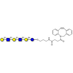 Para-Lacto-N-hexaose 2 (Para-LNH2) with DBCO (Linker-DBCO A)