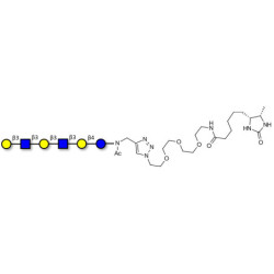 Para-Lacto-N-hexaose 2 (Para-LNH2) linked to desthiobiotin (Linker-DBT-A)